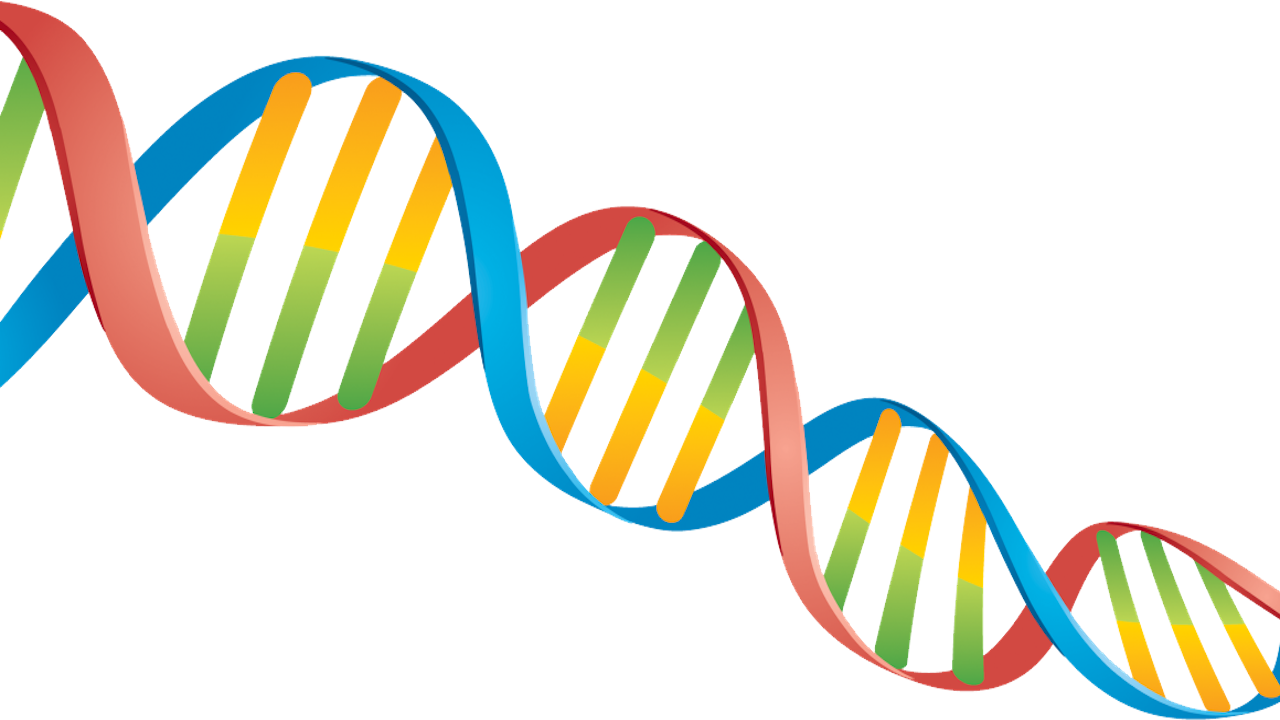 HyperC: Distributed Workflow for Long Reads Self-Correction